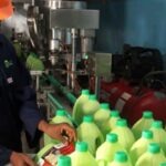 A-Green-Energy-Biofuels-factory-worker-labelling-biofuel-bottles-e1605084561433